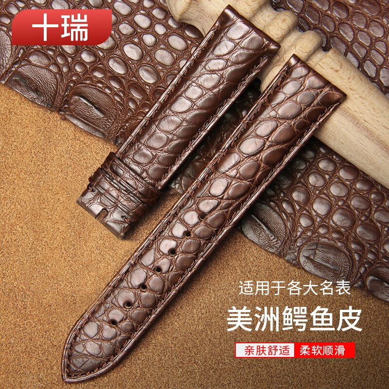 查询京东钟表配件价格走势|钟表配件价格走势