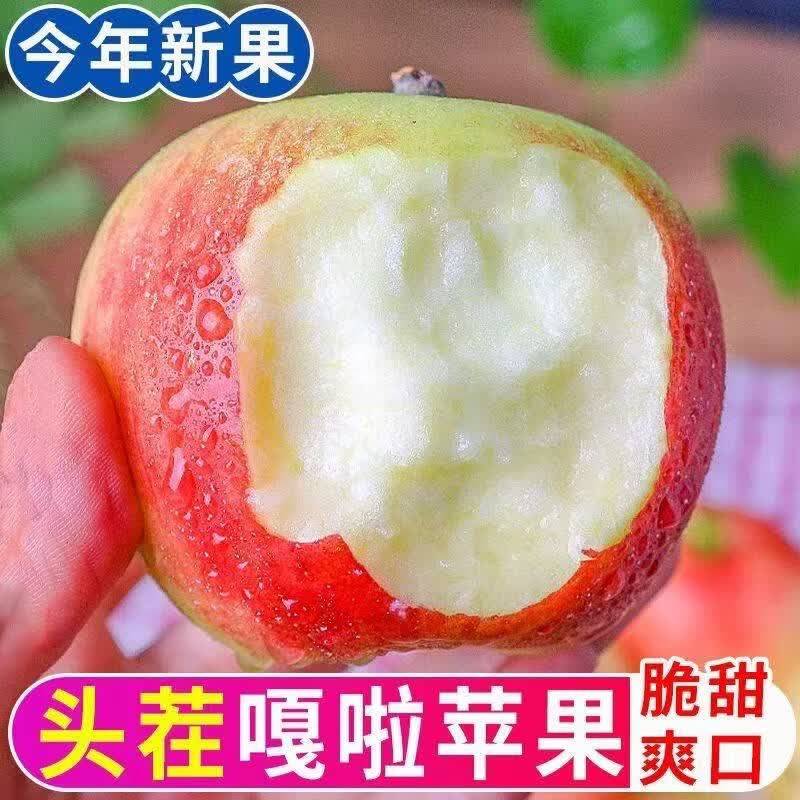 壹棵弘芯正宗陕西红富士苹果水果时令脆甜冰糖心丑苹果生鲜水果整箱 5斤精选实惠装【新鲜采摘】净重约为4斤+