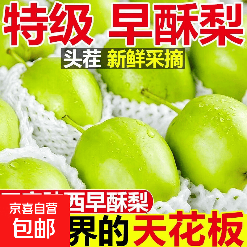 【新品上市】渭南蜜酥梨1号新鲜青梨子当季时令孕妇水果早熟酥梨 早熟酥梨 带箱9斤 (净重8.5斤）单果130g+（中果）