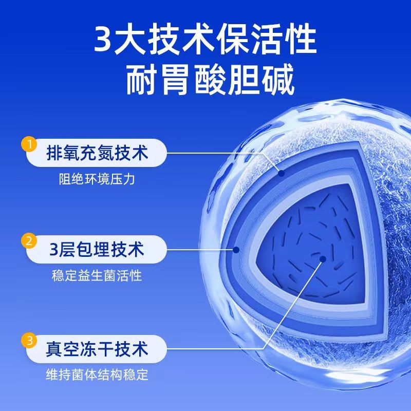 思连康双枝杆菌六联即食益生菌成人中老年肠胃益生菌调理肠胃肠道 10袋*6盒 菌群稳定期 双枝杆菌六联益生菌