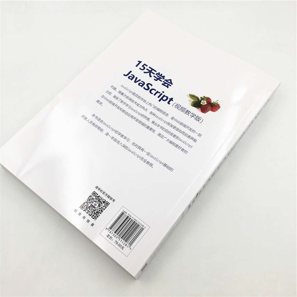 Web前端技术丛书：15天学会JavaScript（视频教学版）