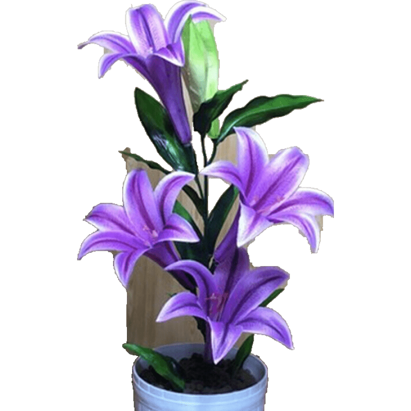 �ܽ��������ˮ�ٺ������ѿ�ļ���ֲ���Ի�����������̨��������� ���� ������ 19.3Ԫ��5��(��3.86Ԫ/��)