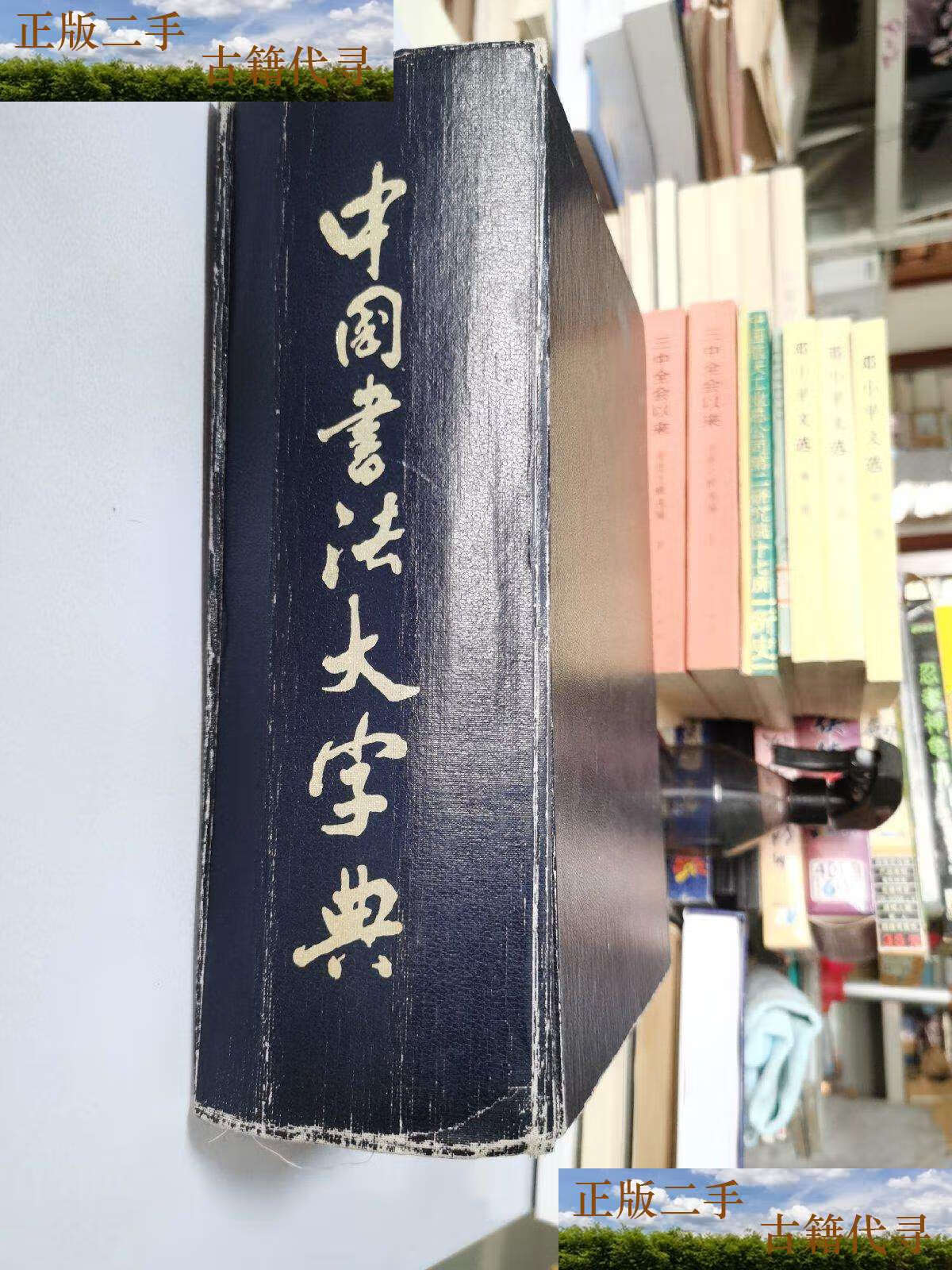 【二手9成新】中国书法大字典(1976年修订版) /林宏元 中外