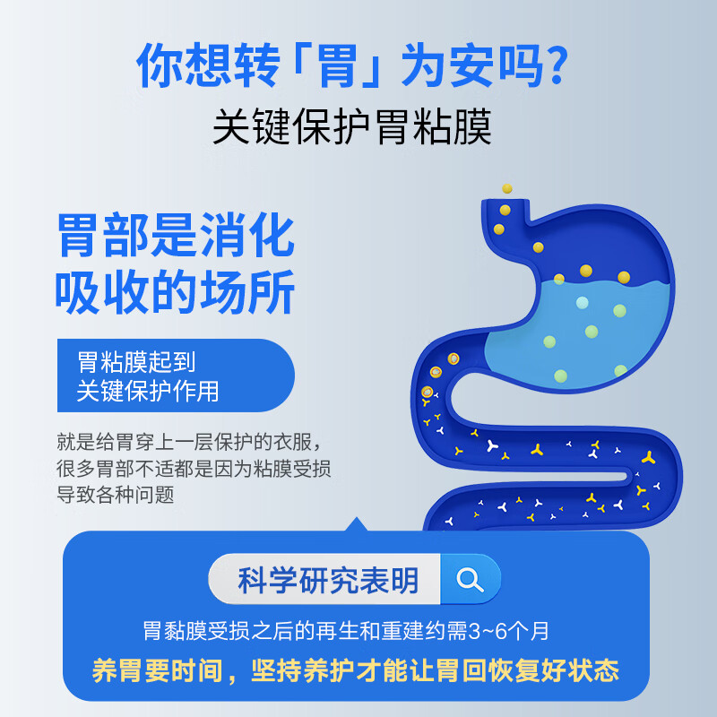 WARNKE VITALSTOFFE德国进口L-谷氨酰胺养胃护胃修复胃黏膜保护剂修护肠道营养保健品 装谷氨酰胺/粒 750mg*1瓶