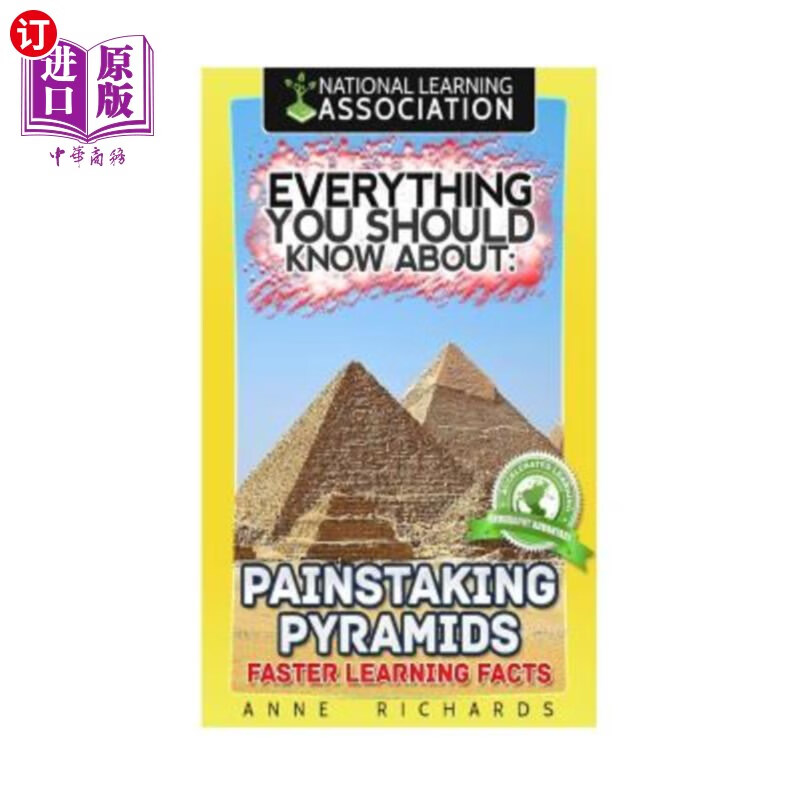 海外直订everything you should know about: painstaking pyramids