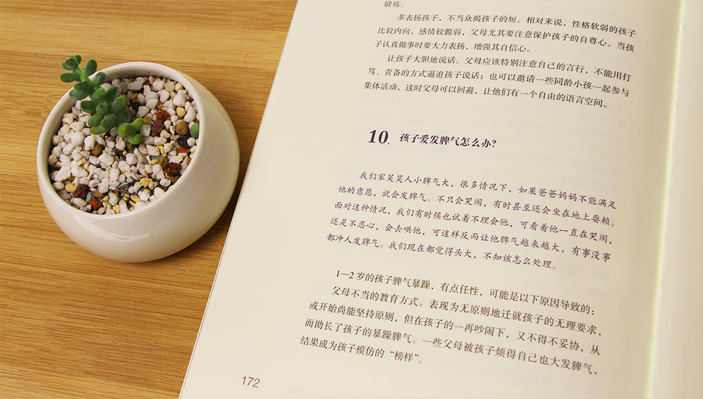 我的1-2岁孩子：抓住学习语言的敏感期（一丹奖获得者朱永新教授主编）详情图