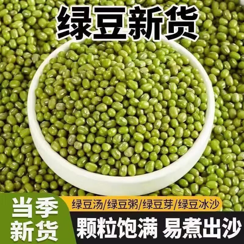 同仁堂正宗胖东来同款东北绿豆粒新货皮薄易出沙解暑绿豆汤五谷杂粮干货 东北新货绿豆 1000g*1袋 两斤装