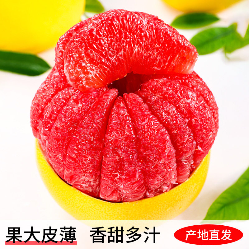 橙小士福建平和三红柚红心柚琯溪中秋节日礼盒红肉水果整箱沙田红柚 红心柚【2个装】5斤