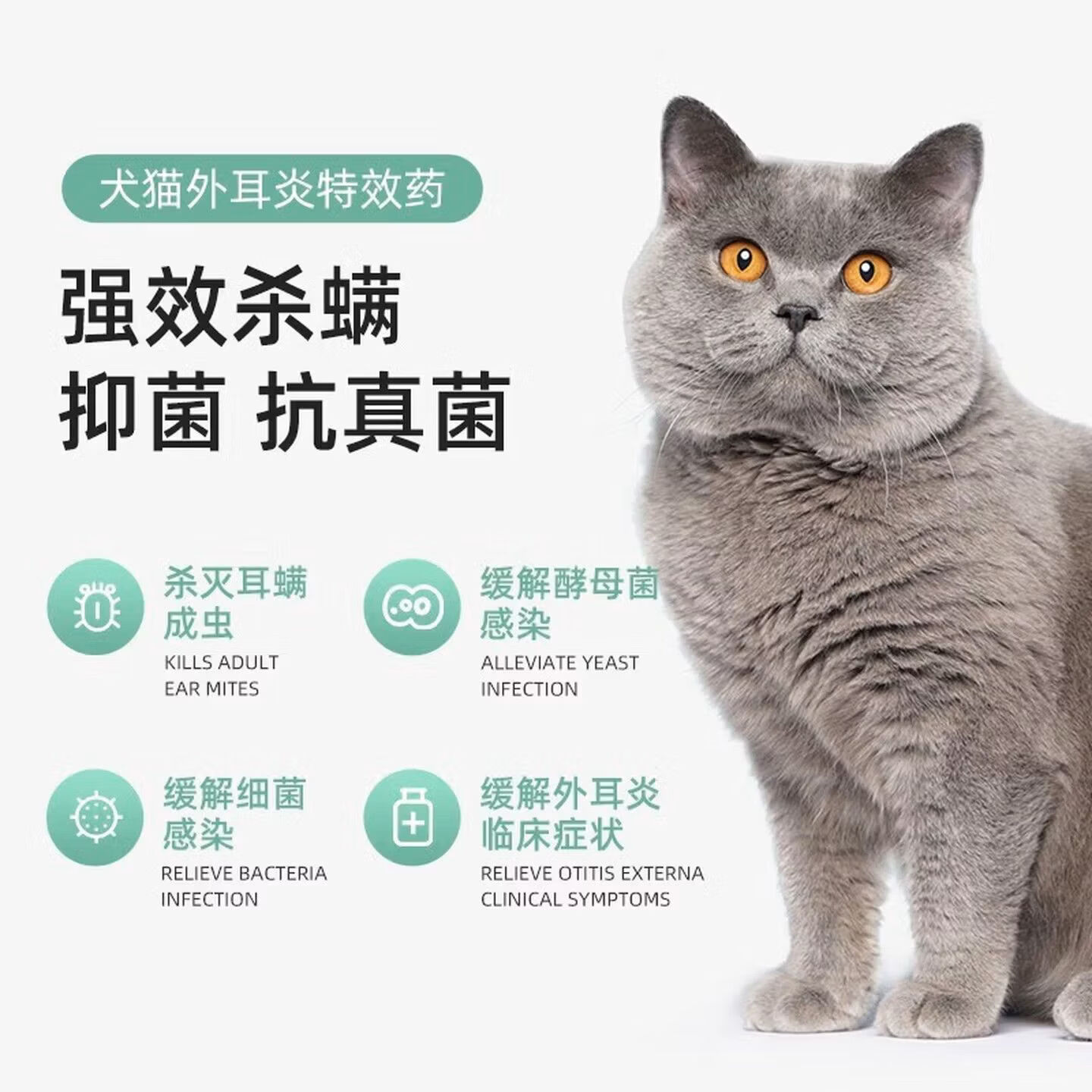 耳肤灵法国复方制霉素耳螨真菌感染外耳炎马拉色菌红肿宠物犬猫耳部用药 【平替国产款】复方制霉菌素软膏 10g*1盒 +耳道净