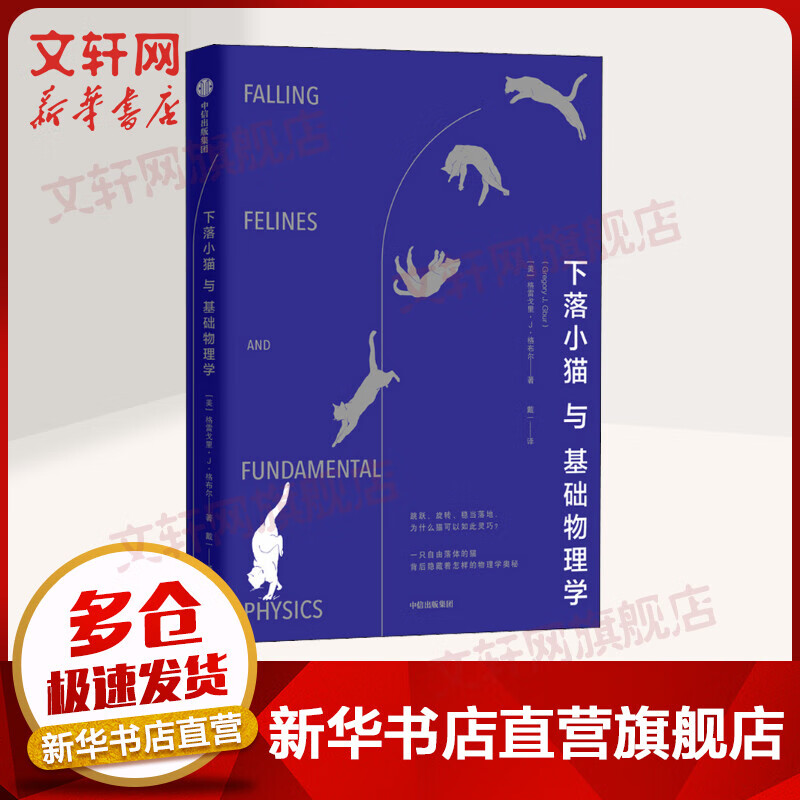 下落小猫与基础物理学