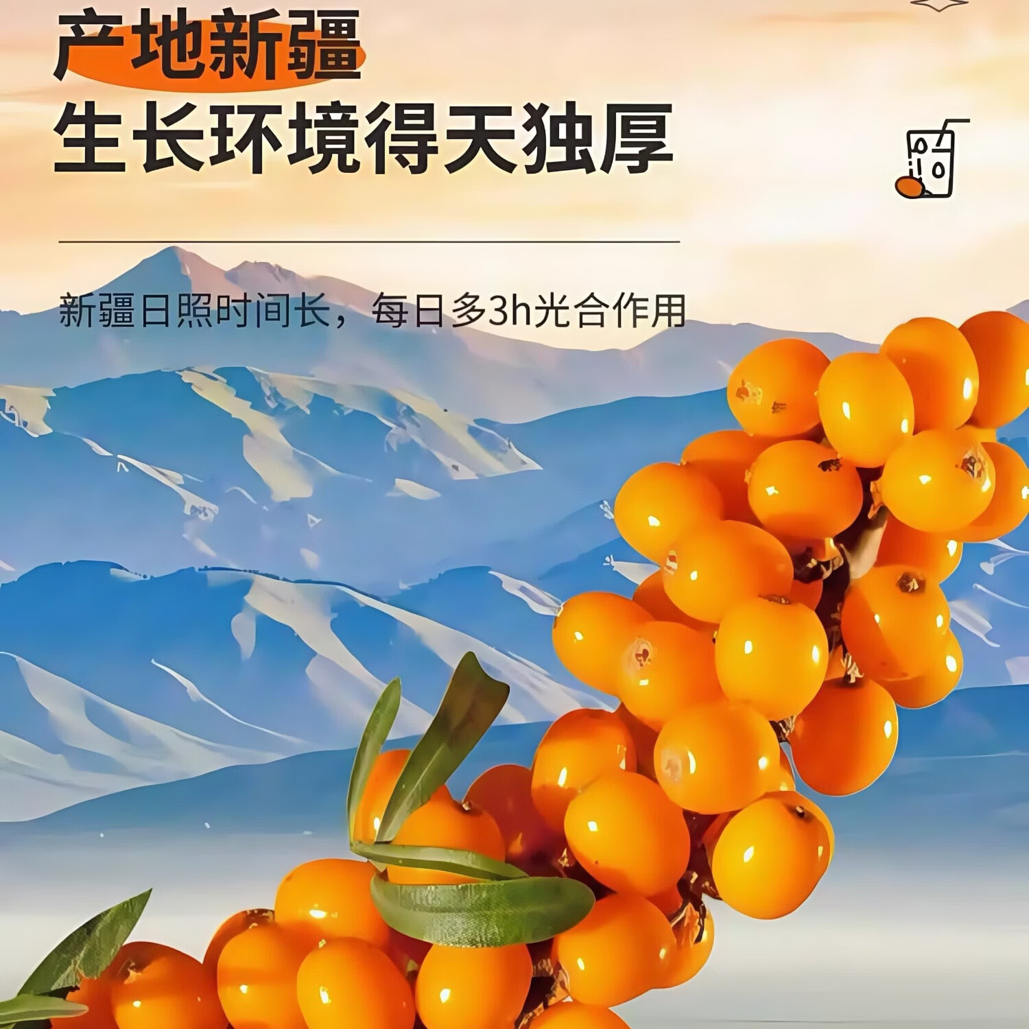 远古戈壁新疆产地直发NFC鲜榨沙棘原浆500克纯沙棘果汁含油籽黄酮VC 【新疆直发】沙棘原浆500克一袋