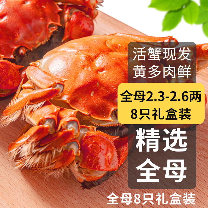 【活蟹】乾澄大闸蟹现货 全母蟹2.3-2.6两8只 去绳足重鲜活六月黄螃蟹海鲜礼盒源头直发