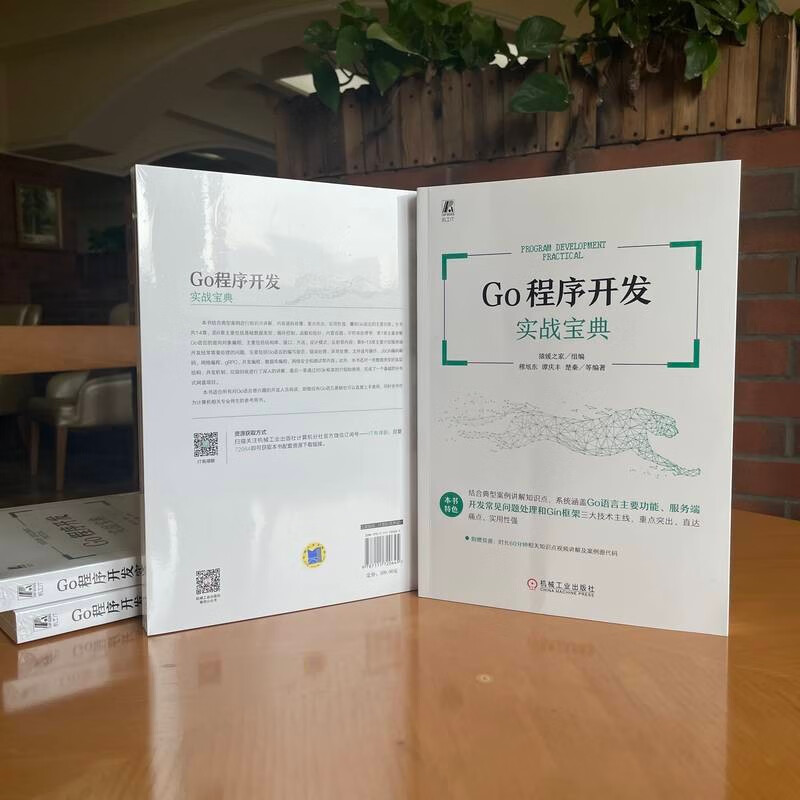 Go程序开发实战宝典详情图