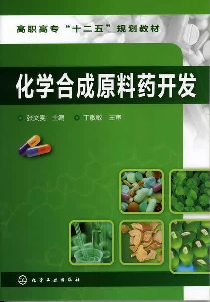 化学合成原料药开发 张文雯 主编