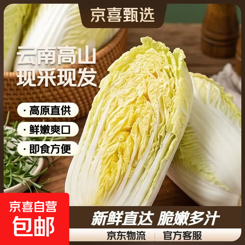 云南高山新鲜娃娃菜沙拉蔬菜早餐蔬菜水果现采现发 新鲜娃娃菜（3棵）*1包
