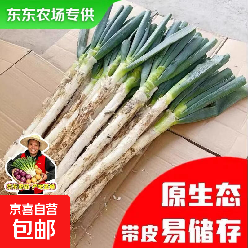 【东东农场专供】新鲜山东铁杆大葱脆嫩多汁绿色蔬菜生鲜超市批发 带老皮去半叶含箱重2斤