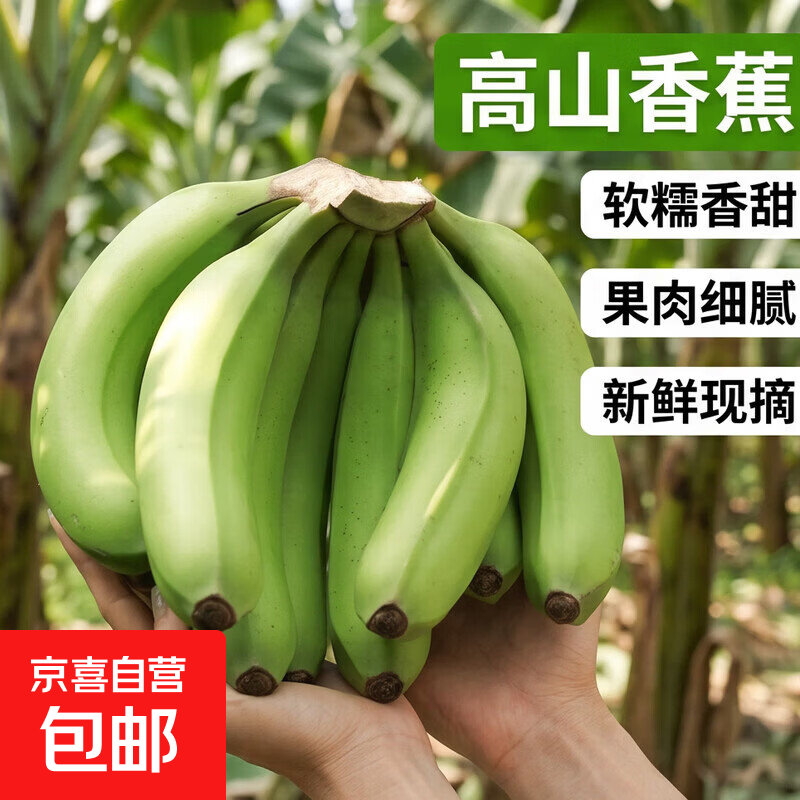 京喜加精选香蕉软糯香甜高山正宗青皮新鲜当季水果现摘整箱批发 高山香蕉带箱1斤
