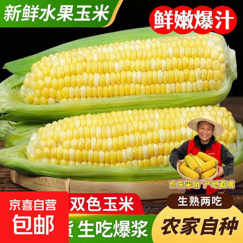 东东买菜现摘云南金银水果玉米甜玉米新鲜玉米生吃爆浆即食代餐 【精选大果】净重9斤（约11-16棒）