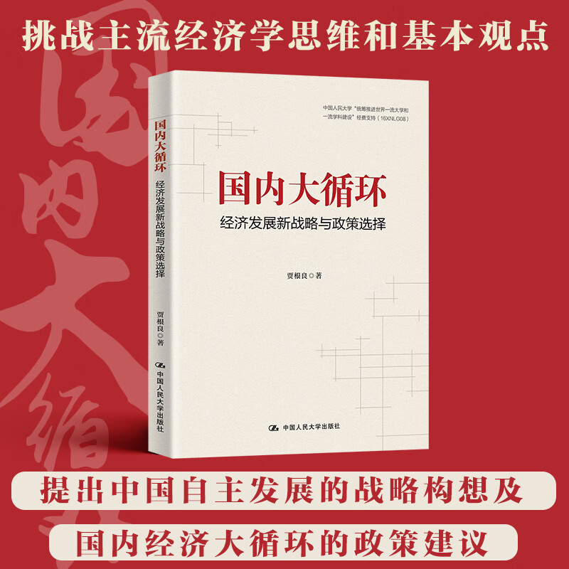 国内大循环:经济发展新战略与政策选择(看懂经济内循环的历史经验