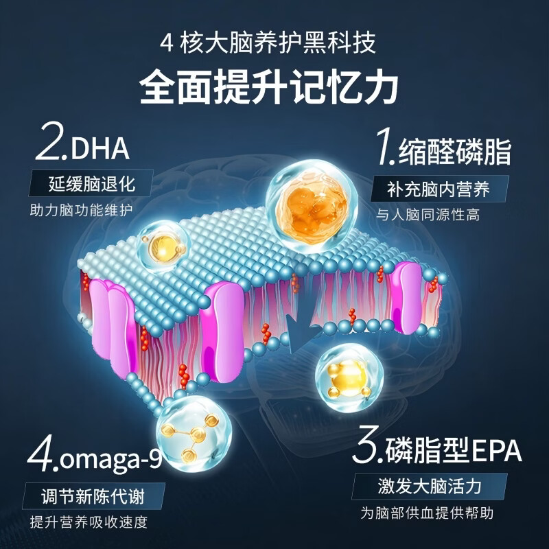 AMC缩醛磷脂神经酸脑活素中老年 补脑增强记忆力脑力素1盒 60粒*1盒