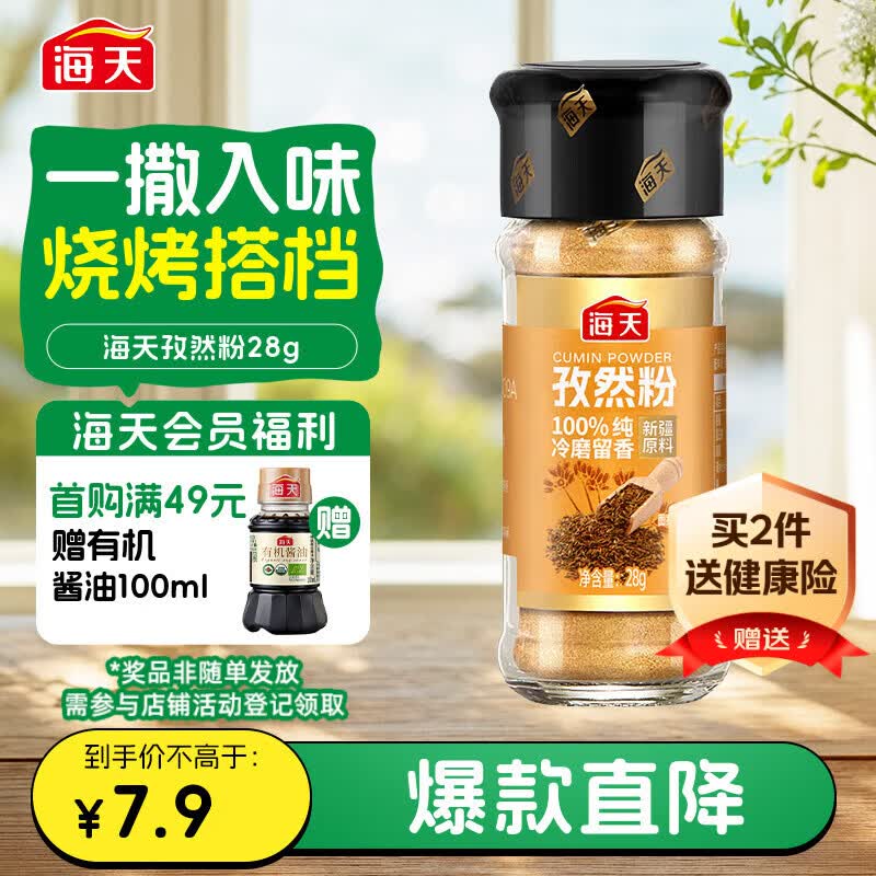 海天 孜然粉28g 纯孜然研制 新疆烧烤料烤肉烤串撒料香辛料调料