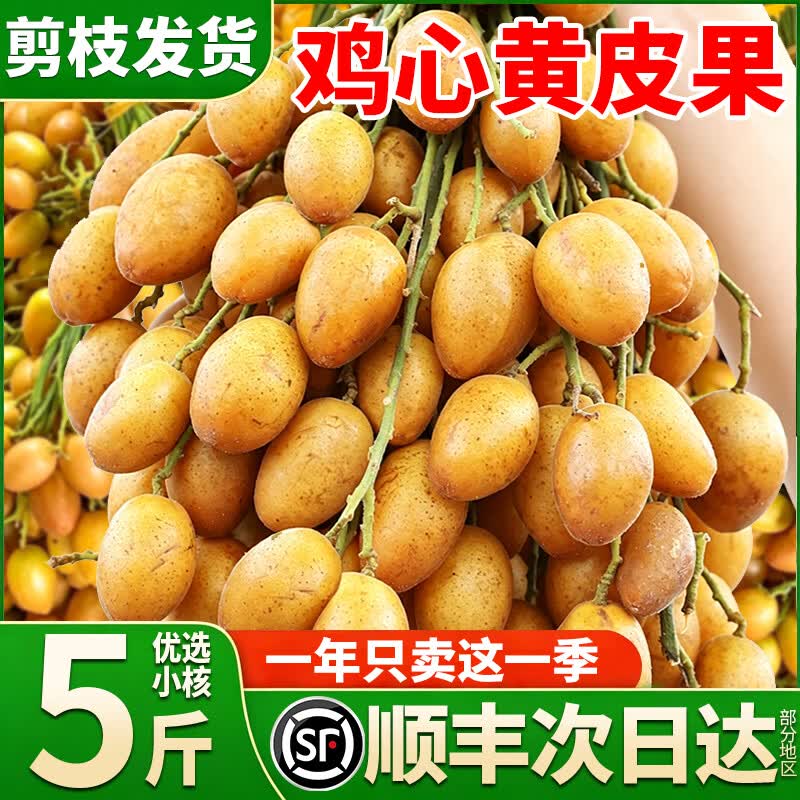 沐小七果蔬 广东鸡心黄皮果【顺丰-多地次日达】新鲜小核无核黄皮水果礼盒 3斤装【爆款主推-80%选择】净2斤 7A级精选果【酸甜多汁】自吃推荐