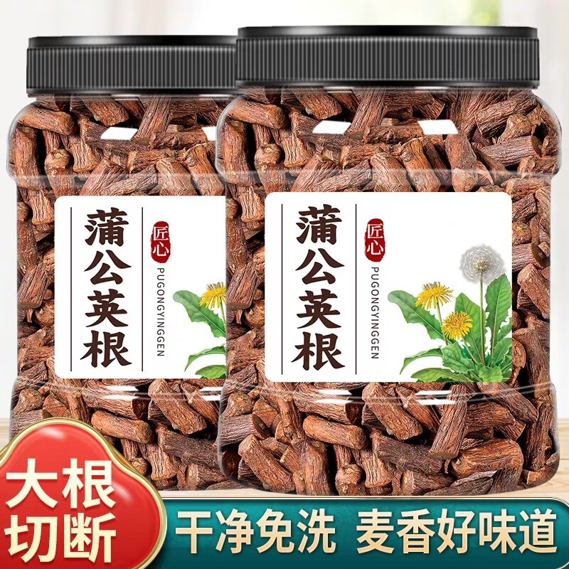 蒲公英特级无熏硫蒲公英根人工筛选去除细碎根段完整粗根干净无杂质 当日发货蒲公英根 500g*1袋