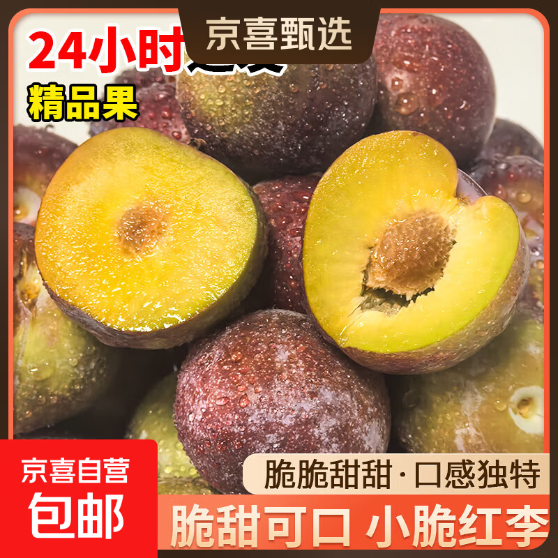现摘现发四川小脆红李青红脆李新鲜李子生鲜水果孕妇可食 单果15g+ 带箱1斤