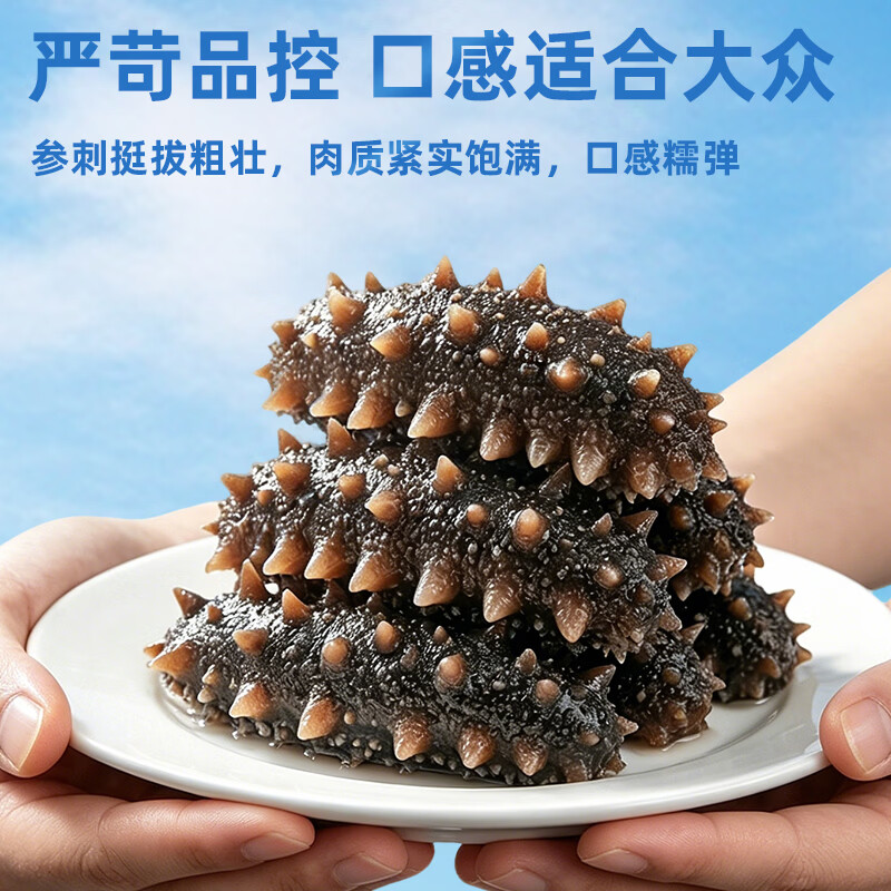 御乾荟大连海参生鲜即食海参固形物超80%海鲜食材海参滋补礼盒9-12头 5斤【礼盒版】