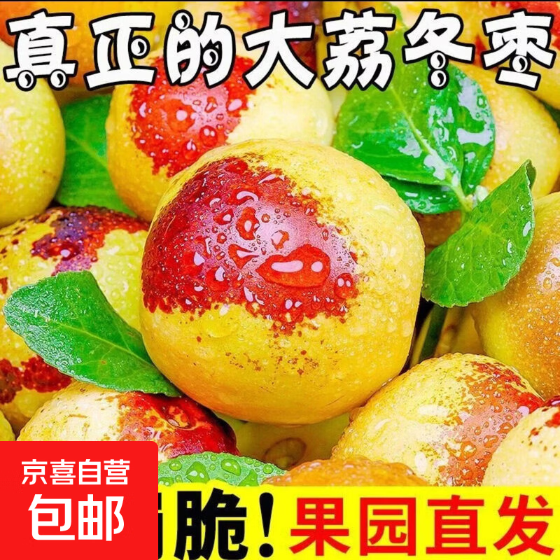 京喜加陕西大荔冬枣 果肉细嫩酥脆 清甜爽脆果肉细腻 鲜甜解馋果肉饱满 小果净重1斤（单果8g起）