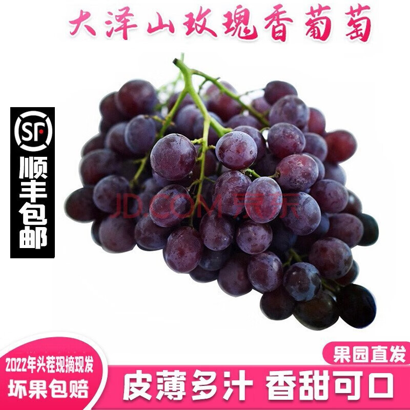 采缇(caiti)顺丰现摘现发大泽山玫瑰香葡萄新鲜红玫瑰葡萄当季孕妇