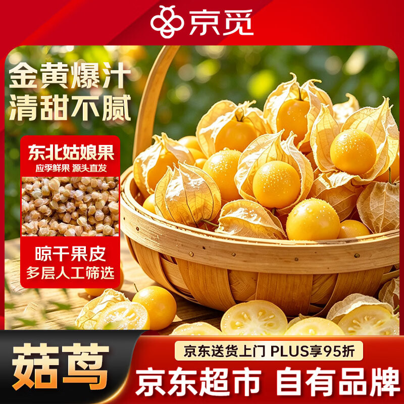 京觅东北姑娘果 1斤装 灯笼果黄菇娘洋菇茑 新鲜水果 源头直发