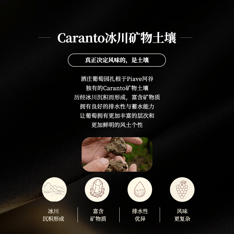 DE STEFANI意大利原瓶进口DOC青苹果香女生聚会婚礼白葡萄起泡酒750ml*1瓶 6瓶装