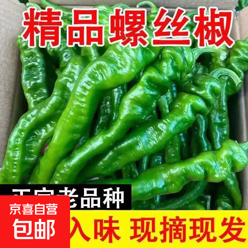 螺丝椒虎皮椒薄皮带箱2斤 3.9元 - 86线报