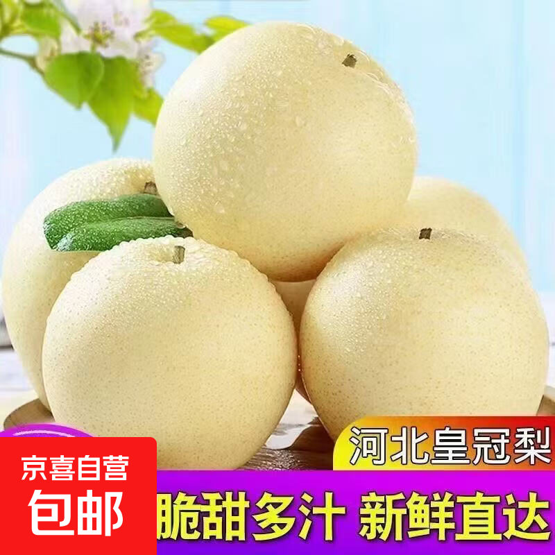 京喜加赵县黄冠梨白梨河北梨肃宁雪花梨鲜食水果生鲜 雪花梨带箱4斤净重3.5斤单果200g