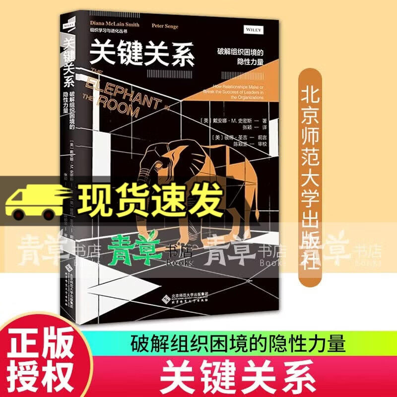 关键关系：破解组织困境的隐性力量 北京师范大学出版社 9787303313006