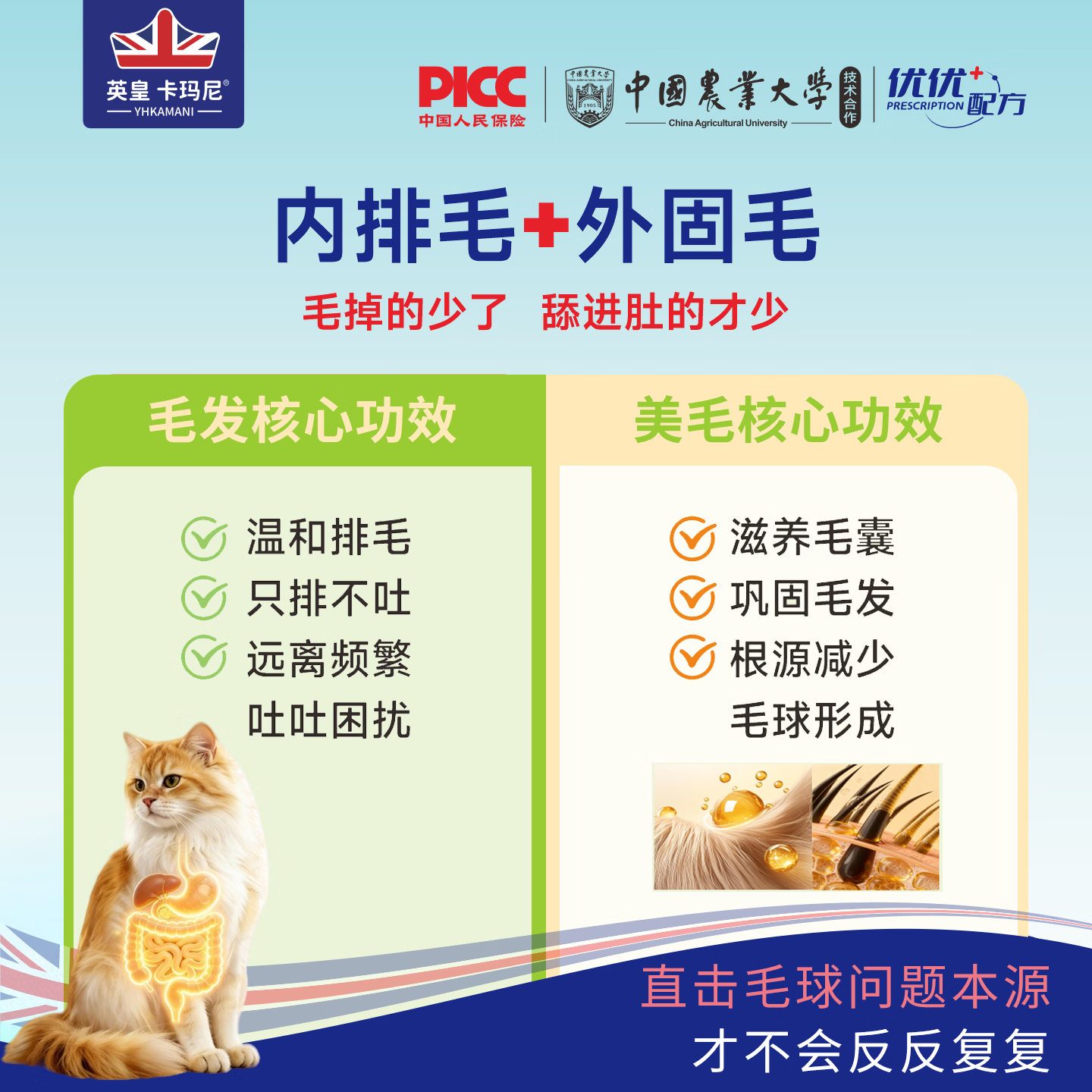 英皇卡玛尼中国农大研发 宠物排毛化毛球片冻干魔方猫咪狗狗化毛膏调理肠胃 一颗双效【化毛排毛+固毛美毛】猫犬通用 51g*3罐