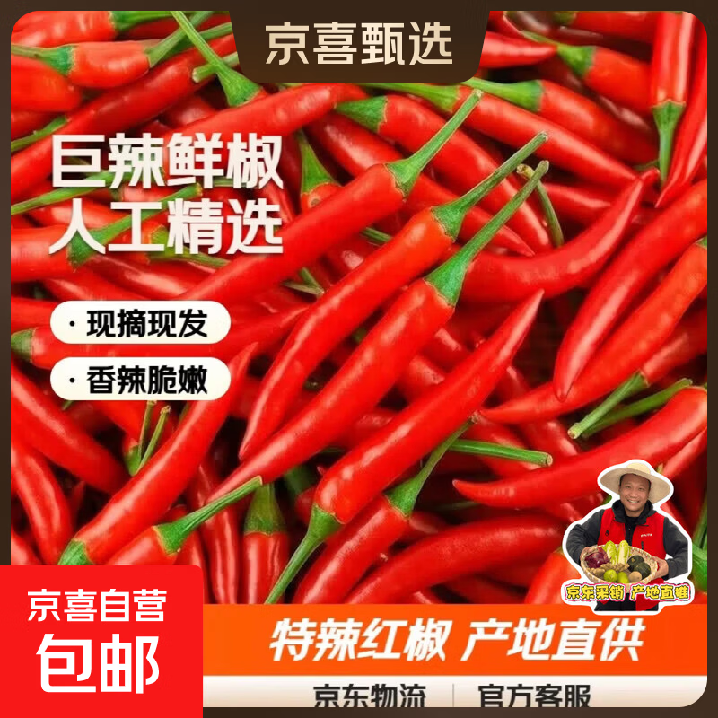 新鲜小米辣小米辣椒小米椒蔬菜小米辣鲜椒新鲜辣椒特辣巨辣红辣椒 巨辣（净重240g）实惠尝鲜
