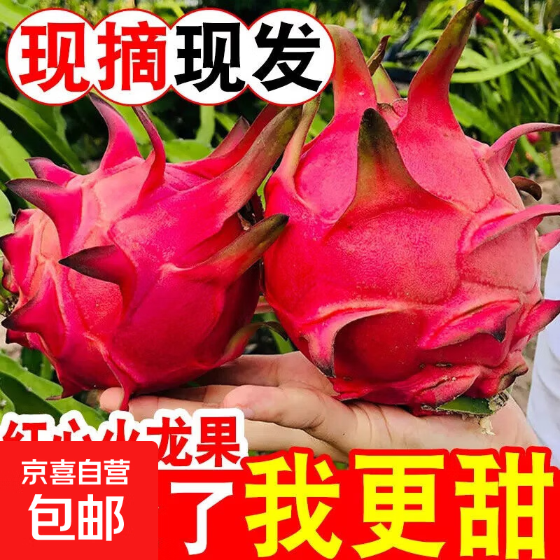 【直播专享】金都一号红心火龙果超甜应季新鲜水果 2粒装（单粒200g+）