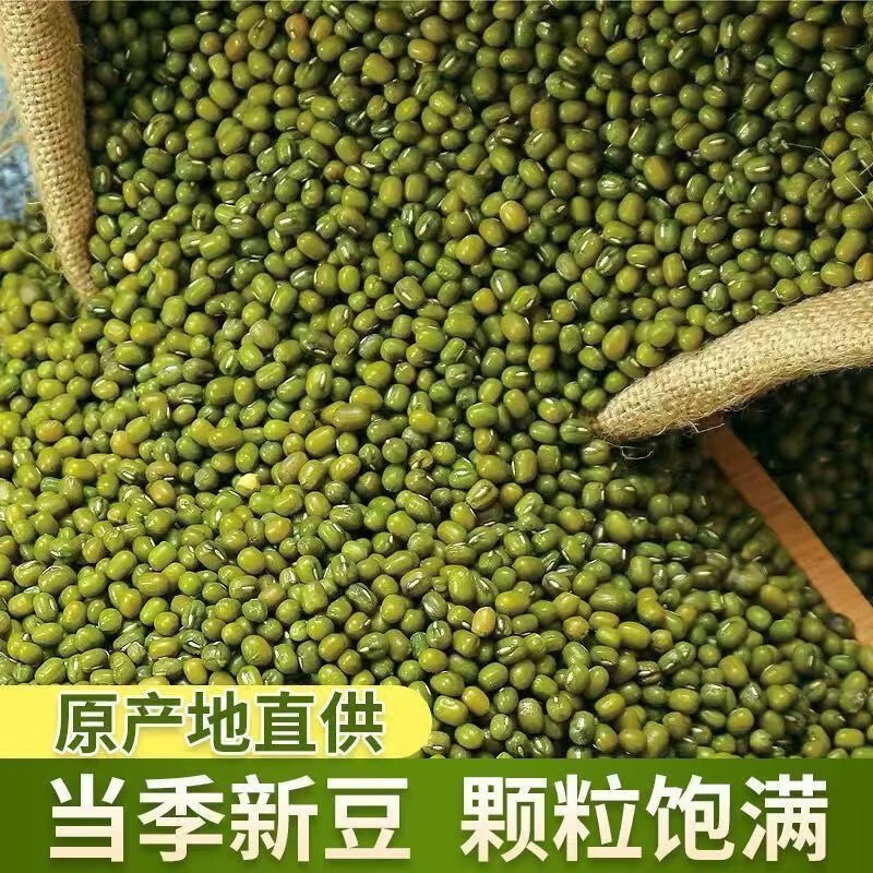 同仁堂正宗胖东来同款东北绿豆粒新货皮薄易出沙解暑绿豆汤五谷杂粮干货 东北新货绿豆 1000g*1袋 两斤装