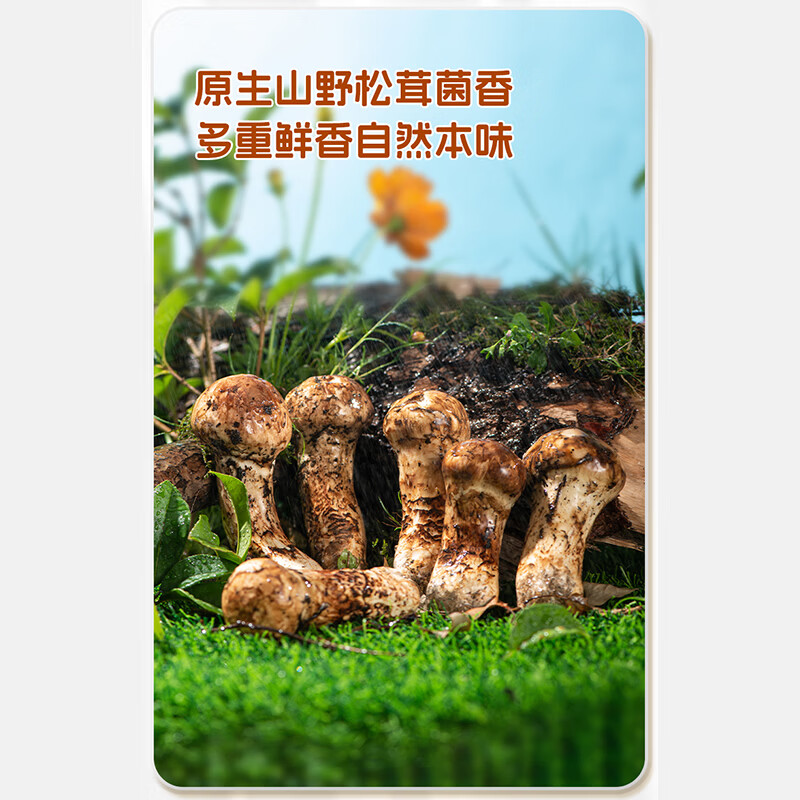悦味纪松茸纸皮韭菜盒子 手工菜龙菜蟒 韭菜鸡蛋馅饼早餐 【15个】松茸纸皮韭菜盒子240g*5袋