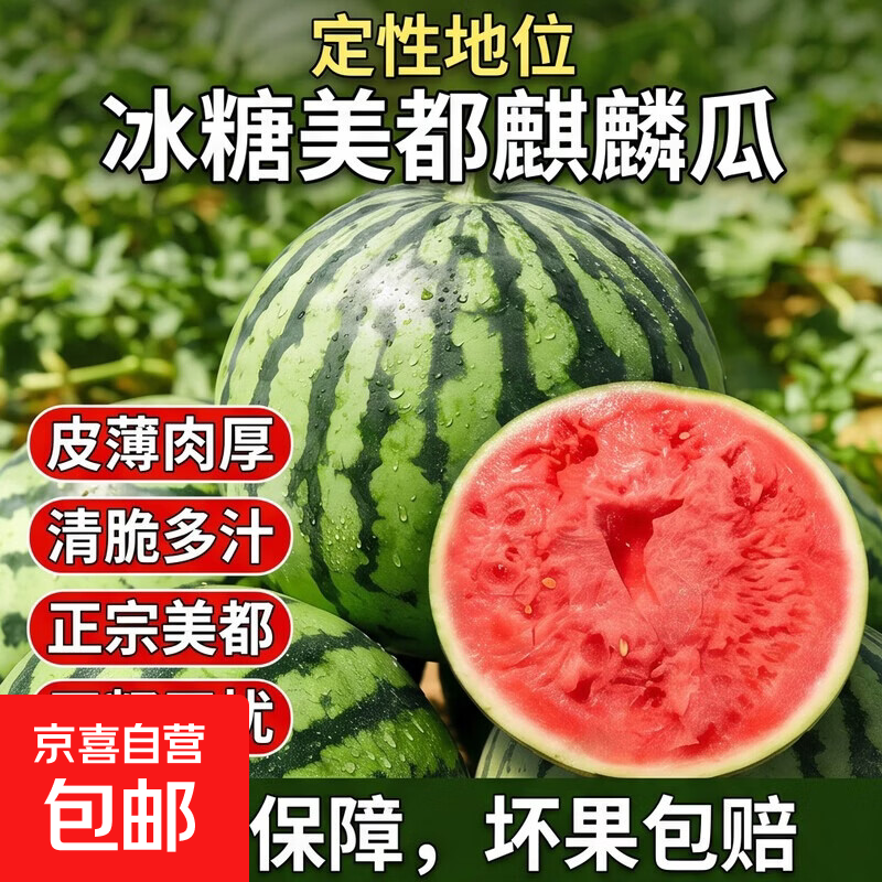 正宗冰糖麒麟美都有籽西瓜新鲜现摘现发皮薄肉甜河南夏邑源头直发 6-8斤1粒（净重6斤+）