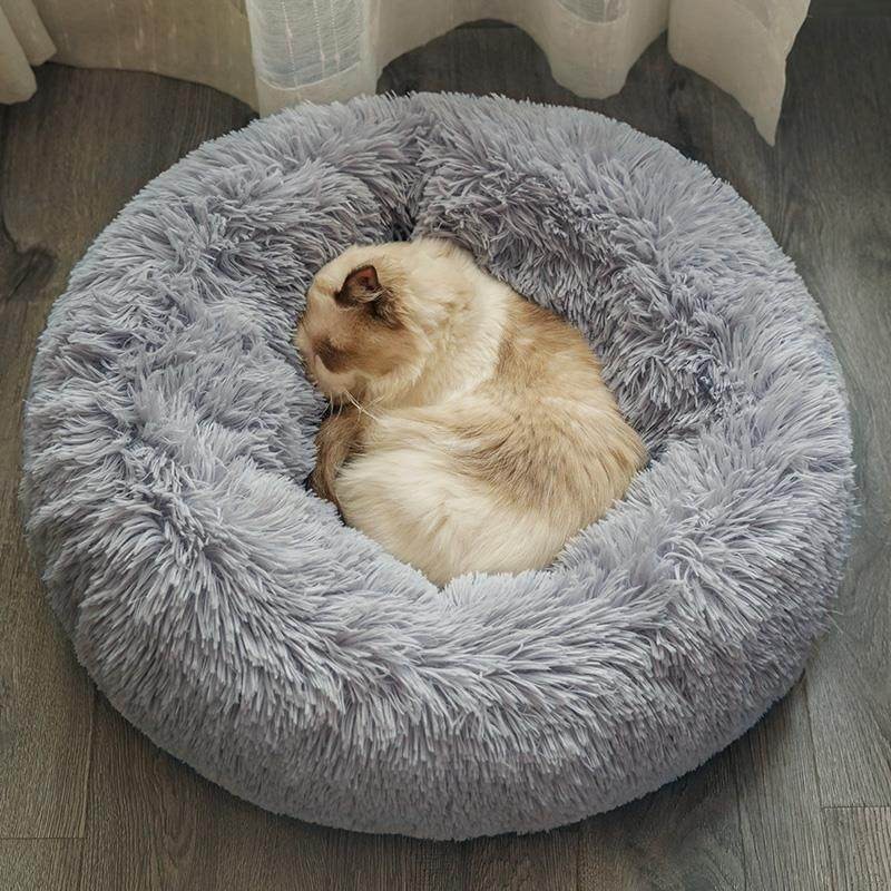 什么软件能查猫狗窝最低价|猫狗窝价格历史