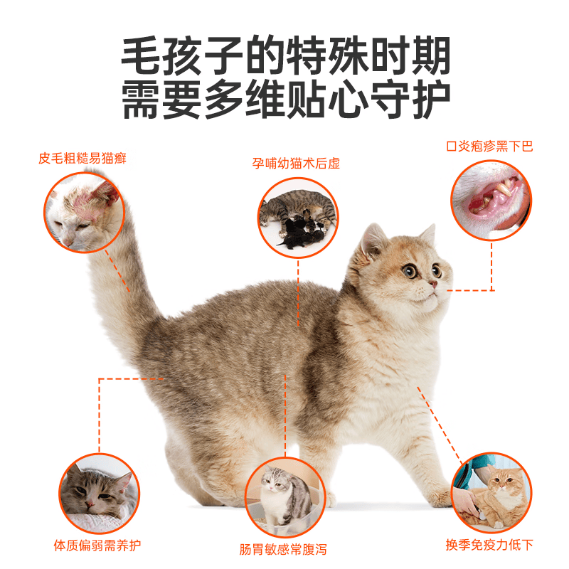 红狗化毛膏猫咪 补营养 乳铁蛋白猫草片狗狗关节呵护 【增强免疫】乳铁蛋白多维片300片