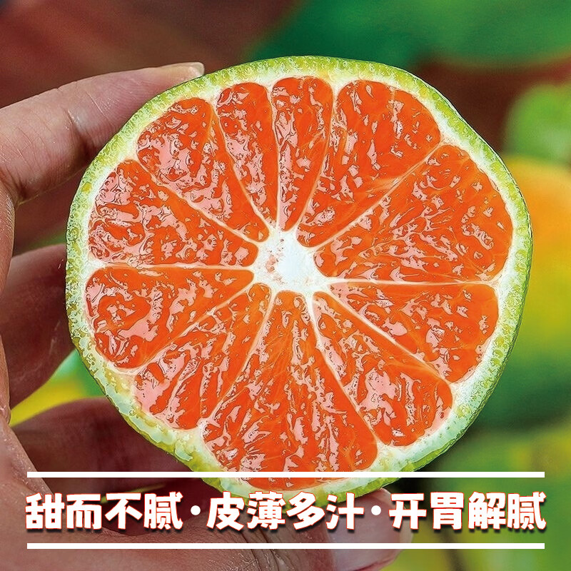 异果恋云南青皮蜜桔【闪送-多地次日达】橘子应季蜜橘当季桔子新鲜水果 大果3斤【果径65mm+:约18-24个】