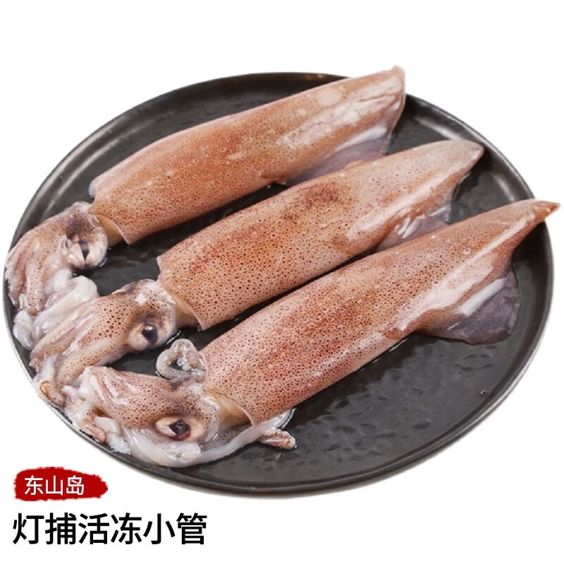 碟岛鲍哥 东山岛灯捕活冻活小管满籽海兔子新鲜活笔管鱼冻籽乌小鱿鱼4