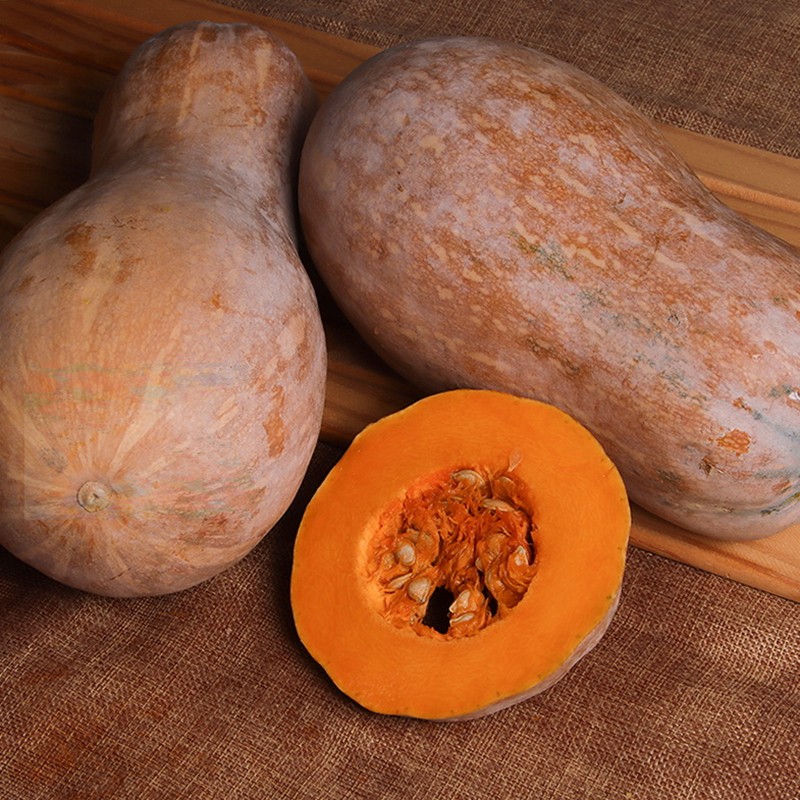 甜芋果月云南新鲜老南瓜软糯特大农家自种老瓜板栗味整箱 5斤