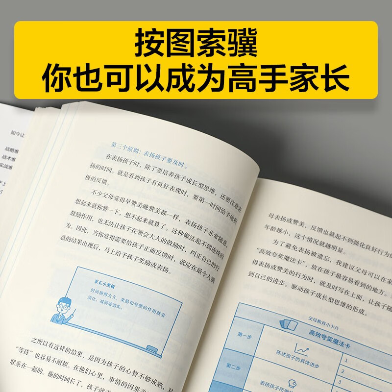 【自营】成长算法 高手家长的7把金钥匙 影响100万家庭的春藤创始人 孤独大脑主理人老喻 喻颖正 著 解决孩子不爱学 不会学 学不会的难题详情图