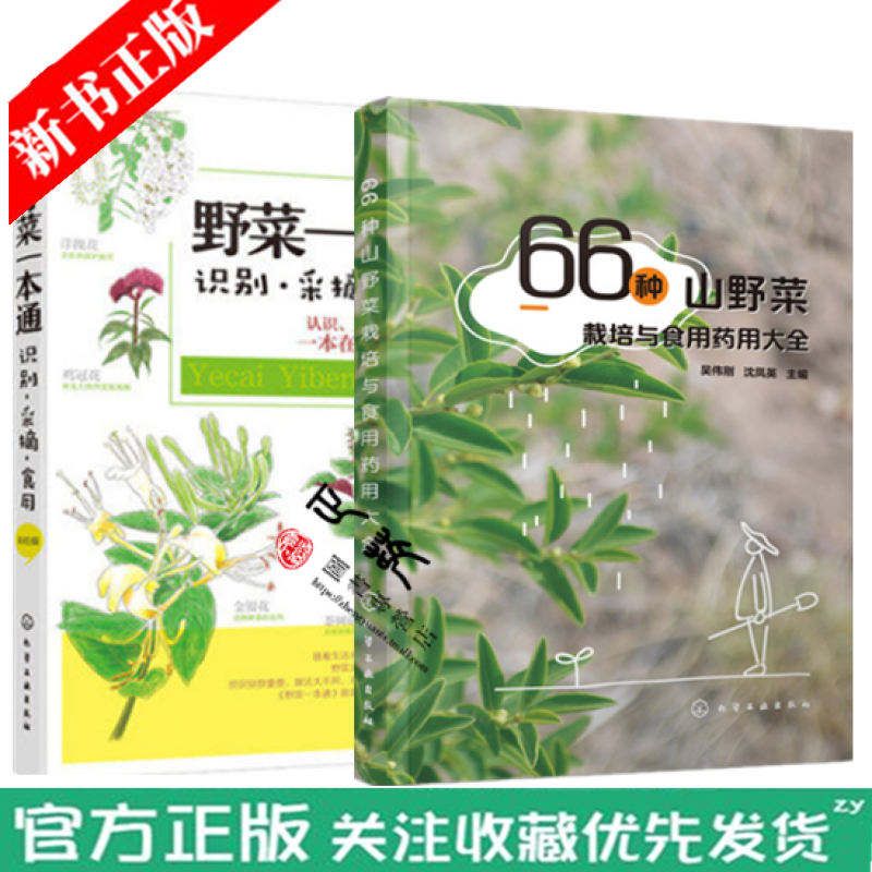 野菜识别方法教程野菜的鉴别采摘食用栽培书籍66种山野菜栽培与食用