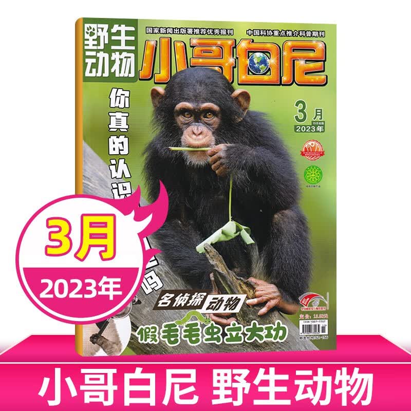 【6月现货/打包购买】小哥白尼杂志2023年军事科学/野生动物/神奇星球/趣味科学 6-15岁中小学生青少年科普探索百科期刊杂志 【野生动物】2023年3月